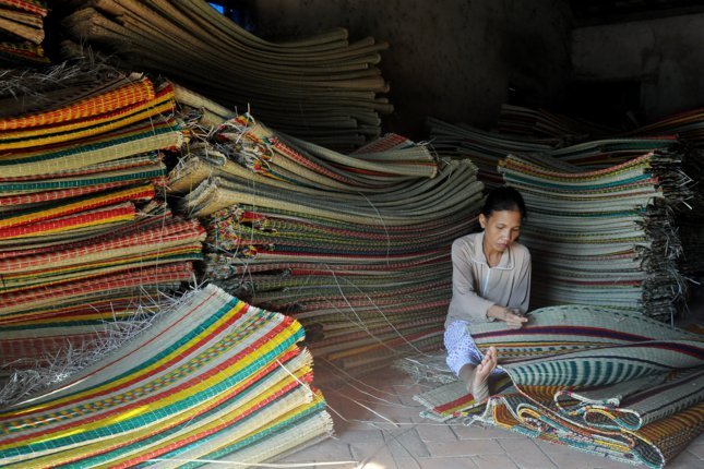 Thân thương nét đẹp đồng cói Tam Quan